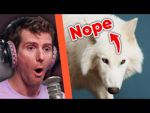 Direwolves are BACK… not