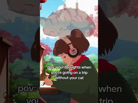 that's why i take him everywhere now 🧡 #lofigirl #catshorts