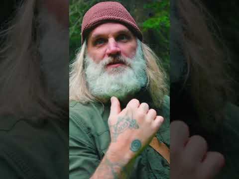 USNEA Healing Plant or Old Mans Beard #survival #primitiveskills #naturalhealing #plantmedicine
