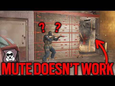 WHY SIEGE BUGS TAKE SO LONG TO FIX