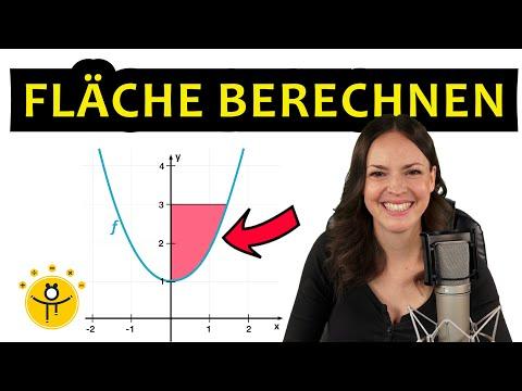 Integralrechnung – Flächenberechnung Integral