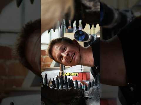 We Played With Adam Savage’s Bones