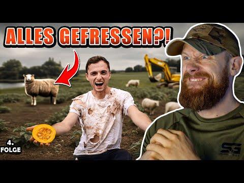 SCHAFE ZERSTÖREN das Projekt?! - 100 Tage für 0€ | Fritz Meinecke reagiert auf die Real Life Guys