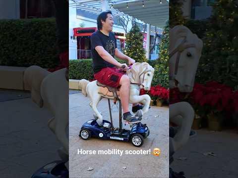 Horse Mobility Scooter