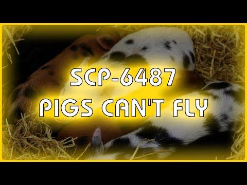 SCP 6487 - Pigs Can't Fly