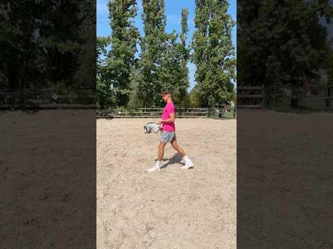 Ein Tag in meinem Leben als Hobby Horsing Weltmeister 🐴💖