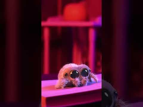 Lucas the Spider tells a SCARY STORY! 👻 #lucasthespider #halloween #kidsvideo