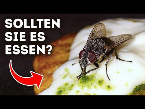 Erschütternde Insektengeheimnisse, die Ihnen einen Schauer über den Rücken jagen werden