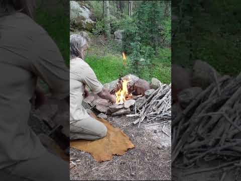 FORAGING and COOKING wild Mushrooms #survival #foraging #mushroom #cooking #food #foodie
