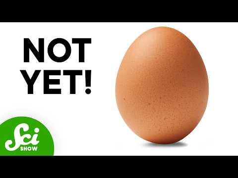 How Do Eggs Know When to Hatch?