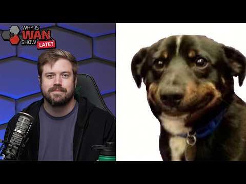 Season 4 Finale! | Why is WAN Late 20