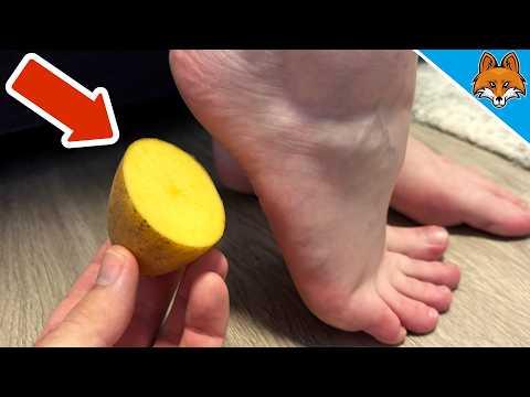 Reibe eine Kartoffel über deine Füße und STAUNE WAS PASSIERT💥(Genial)🤯