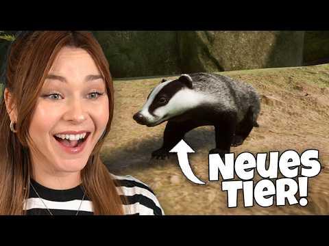 Ein Neuzugang im Muckelzoo! - Planet Zoo Muckelzoo (Stream vom 27.02.2026)