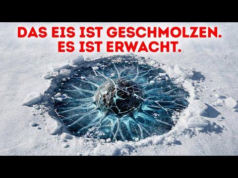 Alte Mikroben könnten in Alaska erwachen, warnen Wissenschaftler