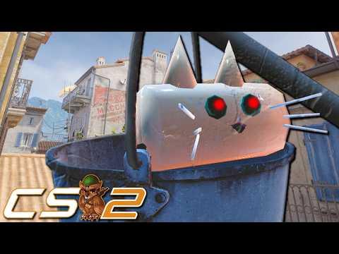 How This Cat Got A CS2 Map REDACTED