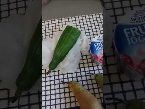 Ramadan im Knast! #knastvlog #tomekk