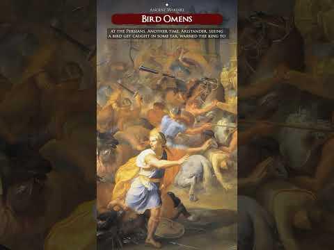Bird Omens in #Ancient #Warfare #shorts #fyp #birdomens #ancientwarfare #military #tactical #war
