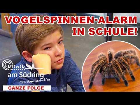 Junge provoziert mit Spinne und Zigaretten in der Schule! | Die Familienhelfer
