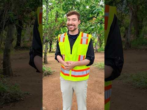 I Built a School in Mexico