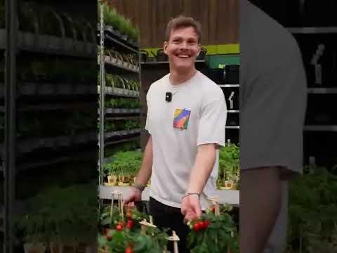 @JuliaBeautx und @JoeysJungle können sich einfach nicht benehmen...