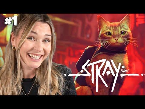 Dieses Spiel ist viel zu süß! 😭 - Stray #1 (Stream vom 24.11.2025)