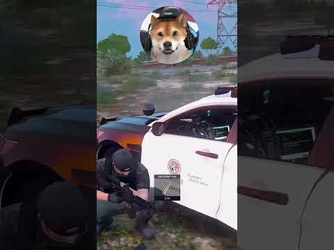 Shootout Crimes vs. LSPD #gtarp #gta5 #csyon