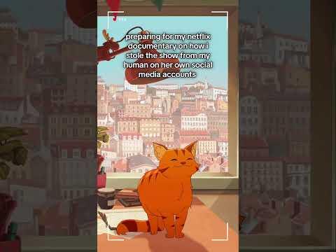 "Pocky, the success story of a Lofi Cat" season 1 coming soon #netflix #cats #fyp