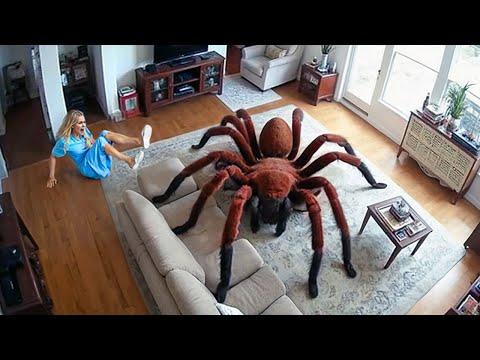 Streiche, die deine 30 Minuten wert sind 💀 2025 Edition