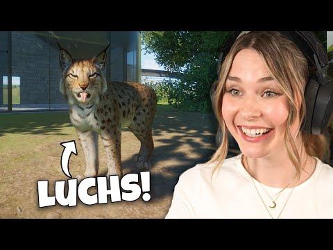 Ein neues Tier zieht ein! - Planet Zoo: Muckelzoo 115 (Stream vom 09.05.2025)