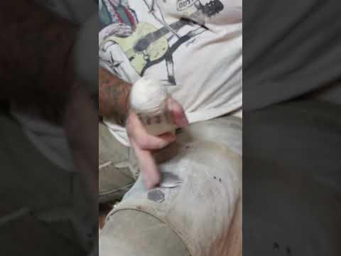 Flintknapping ASMR #survival #flintknapping #stoneage #asmr #asmrsounds #asmrvideo #asmrcommunity