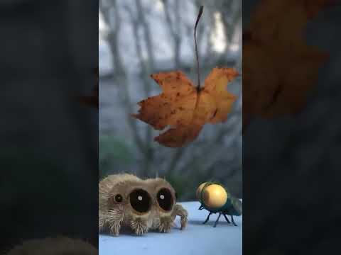 The Sky Is Falling #lucasthespider 🍂 #autumn #fall #kidsvideo