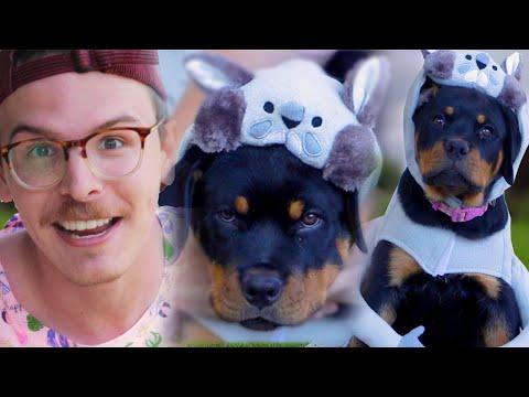 My cute new PUPPY - Save the Squirrels initiative