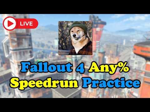 Fallout 4 Any% (No Intro) runs.