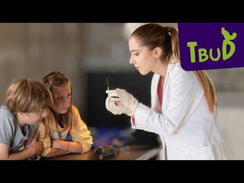 Neue Folge gucken: Mission Maulwurf | Highlights aus Folge 138 | Tiere bis unters Dach