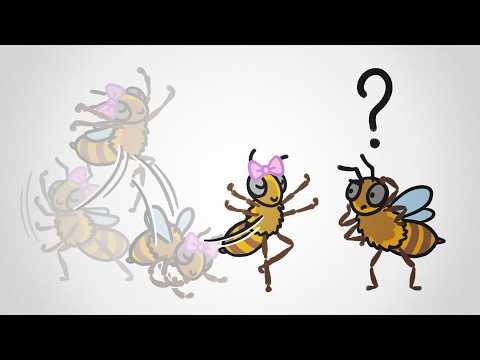 Why Bees Mostly Ignore The Waggle Dance