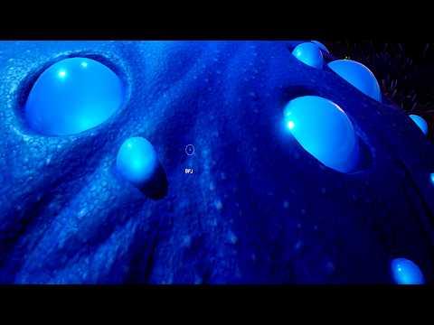 This is why Subnautica 2 is Special