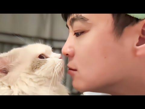 UNUSUAL MEMES COMPILATION V313