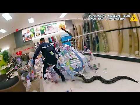 Polizisten vs Wildtiere | Bodycam zeichnet alles auf