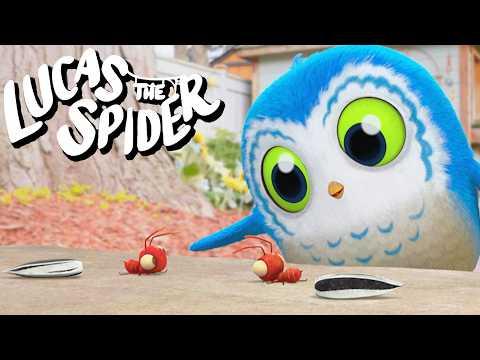 Arlo Points and Laughs + More Lucas the Spider Cartoons for Kids