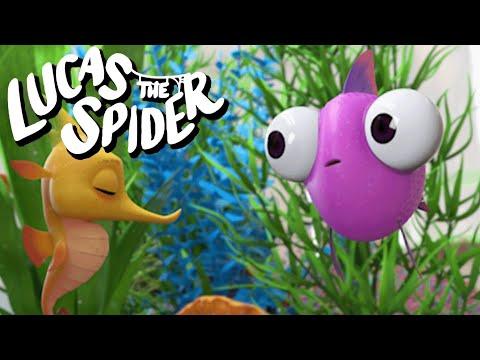 Dimples Wins The Staring Contest on Lucas The Spider + More Kids Cartoons