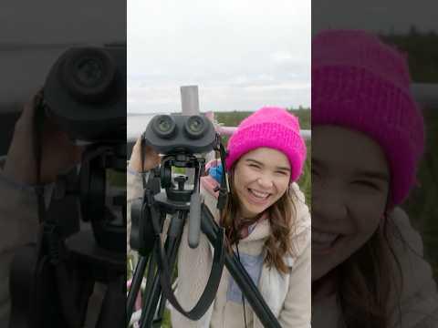 Fail! Anna und der Rotmilan! | Anna und die wilden Tiere #shorts