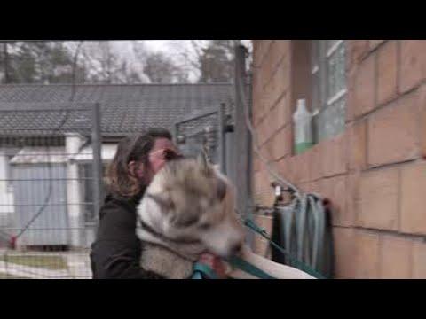 IQ-Test für Hunde?! 💡🐶