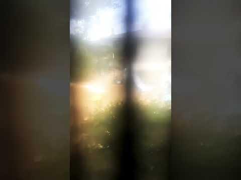 Monkey word school adventure player