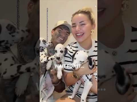 Dubaifluencer kaufen sich 3 Dalmatiner Welpen?! 😨