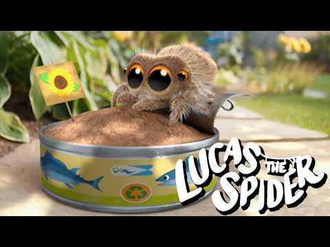 Lucas the Spider Plants a Sunflower Seed 🌻 + More Cartoons for Kids