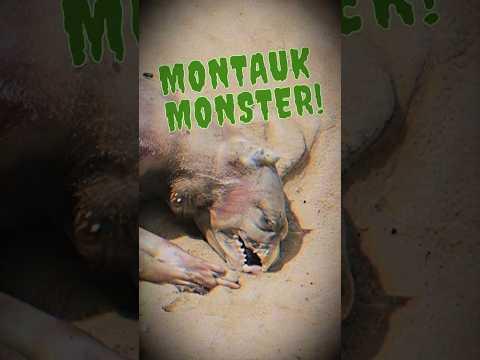 what WAS the Montauk Monster?