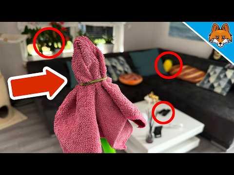 8 Dinge die JEDER beim Wohnzimmer Putzen vergisst💥(Überraschend)🤯