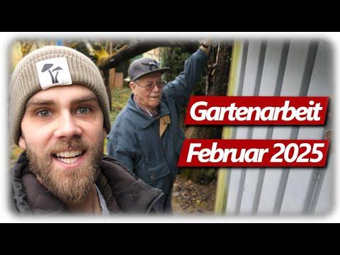 Gartenarbeit Februar | Weinreben Feigen Pfirsich schneiden, Nistkästen, kleine Hochbeet Ernte