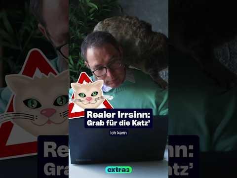 Grab für die Katz' #Shorts #extra3