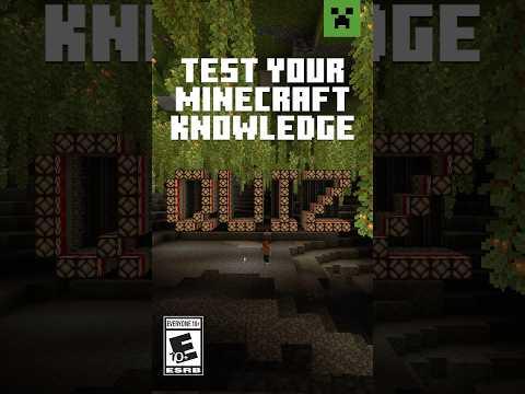 MINECRAFT PRO?